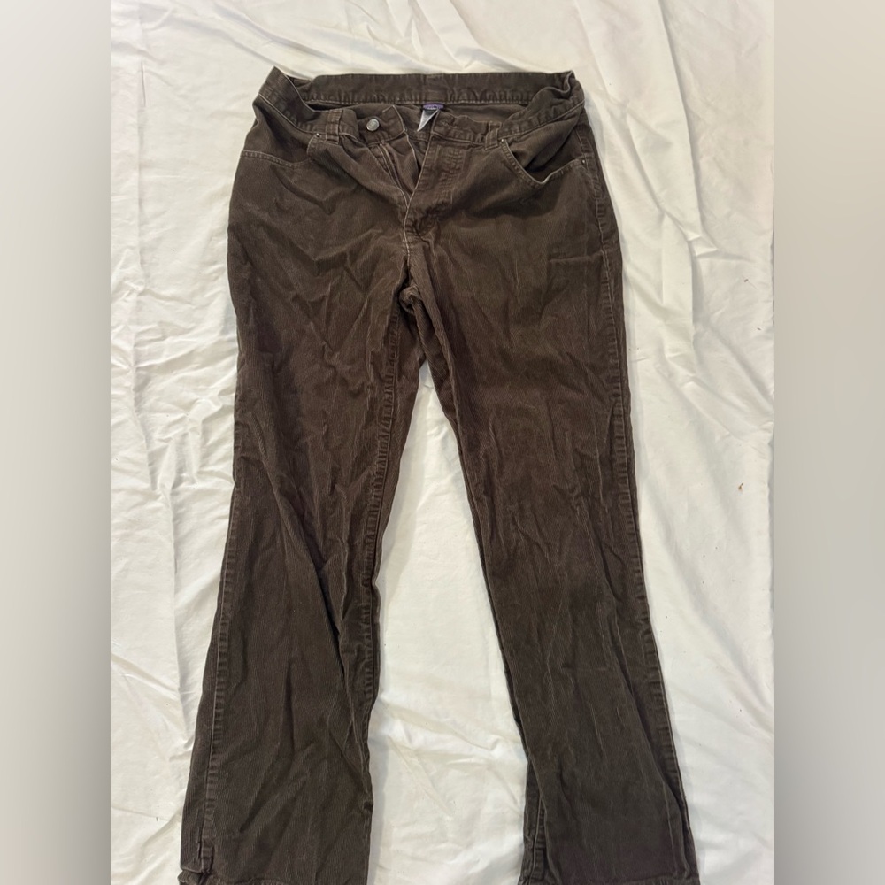 Patagonia Men's Brown Corduroy Pants